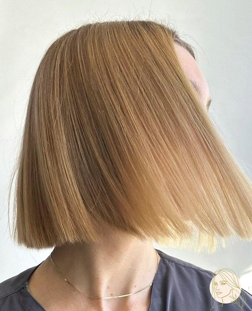 30 Quick And Easy Hairstyles For Short Hair That Are Actually Easy to DIY 14 Classic Blunt Bob Blowout