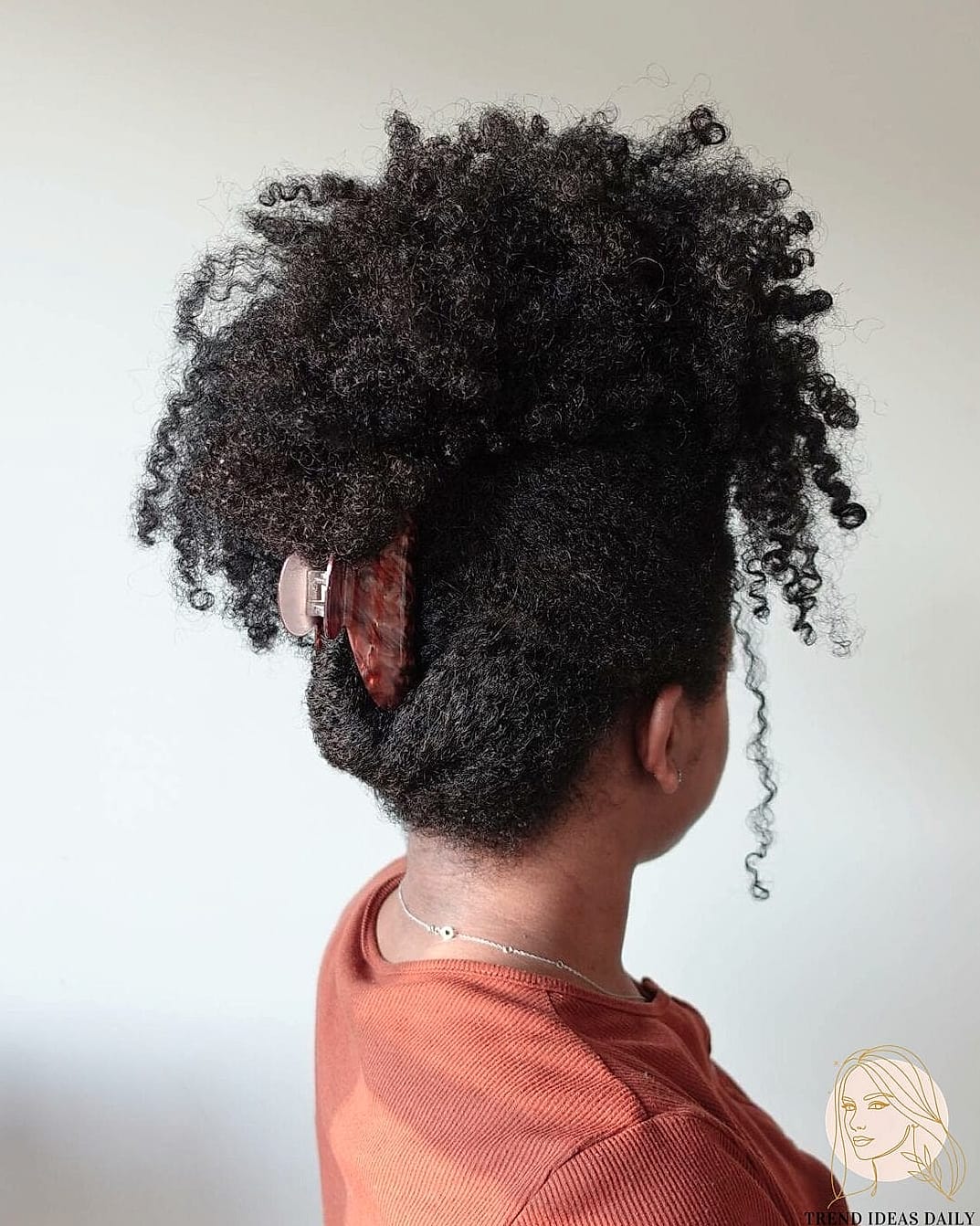 30 Hairclips Hairstyles Short Hair Ideas You Need to Try Right Now 24 Curly Fro Claw Clip