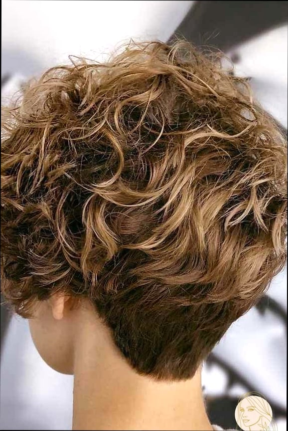 Curly Pixie Bob (Bixie)